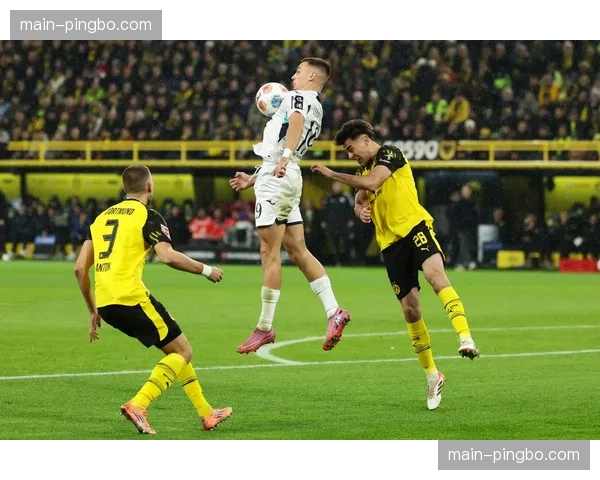 多特蒙德领先霍芬海姆10分，前四位置已无悬念